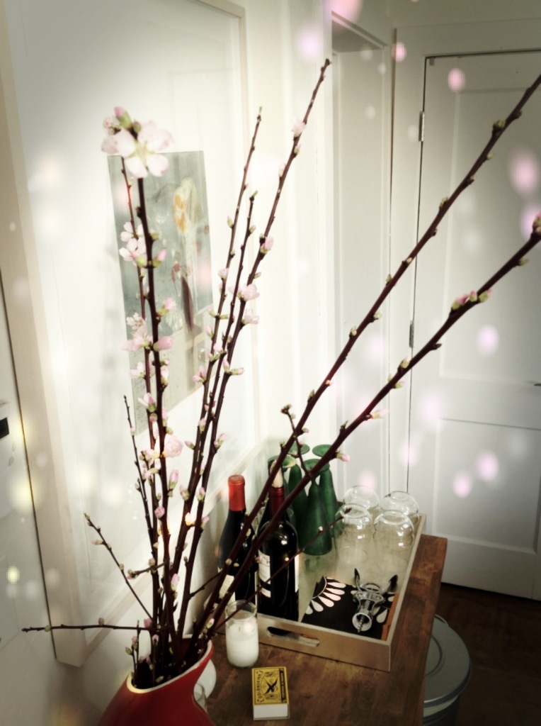 Spring is in the air.