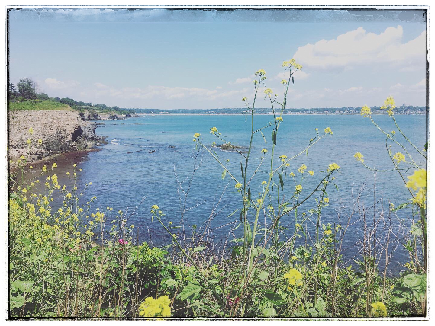 974d358c-e939-4665-8127-3192d8b2f02d