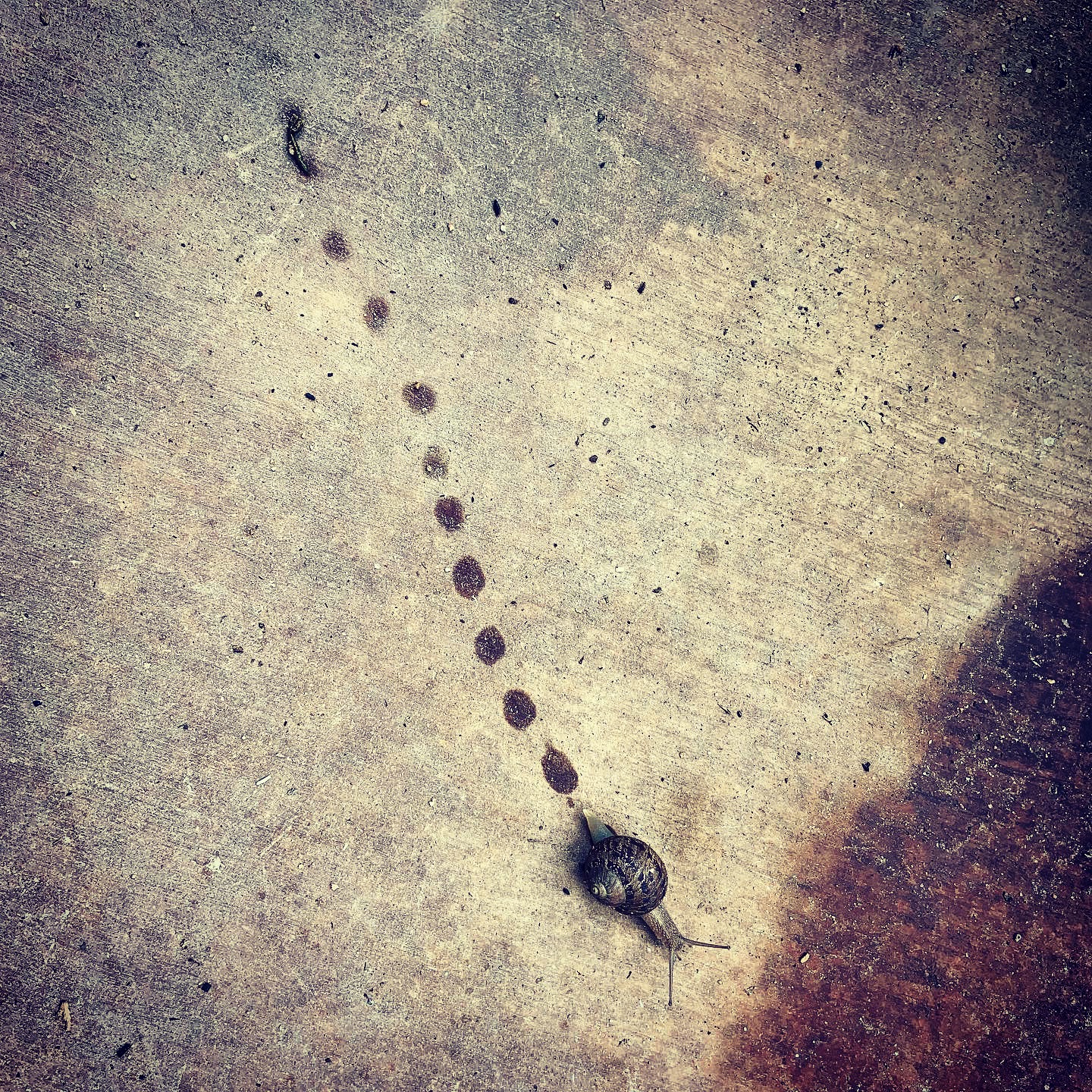 033CFCDD-EE35-4EE0-964C-CCE394688359