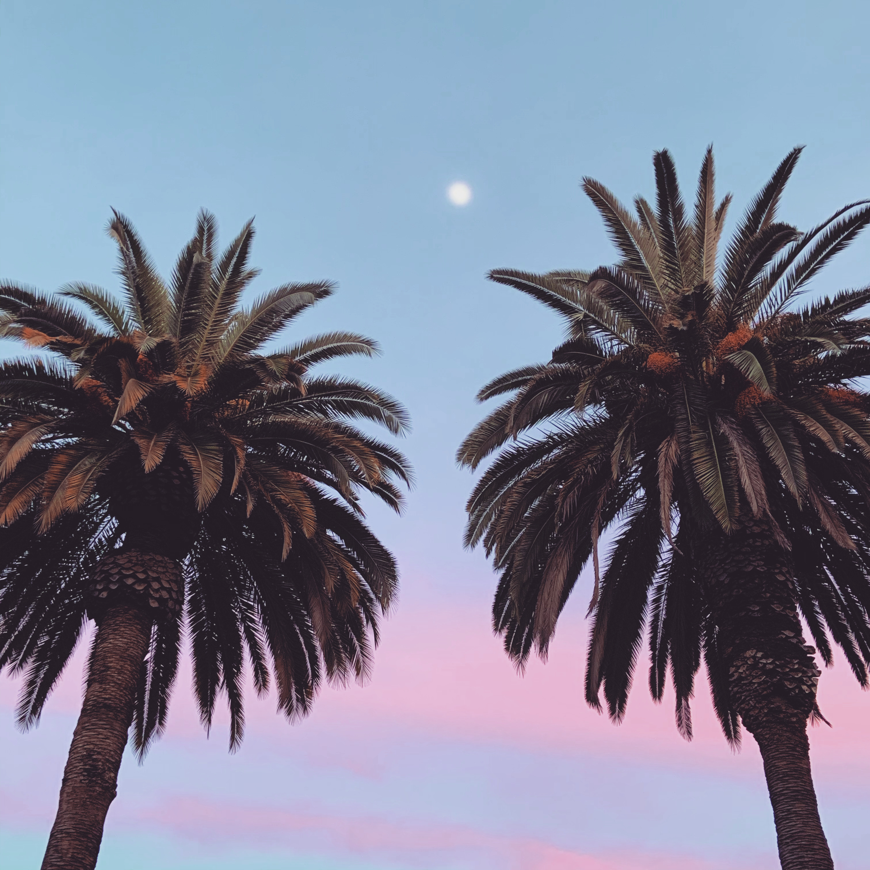 9077026F-7A97-4892-8844-11124877BD26