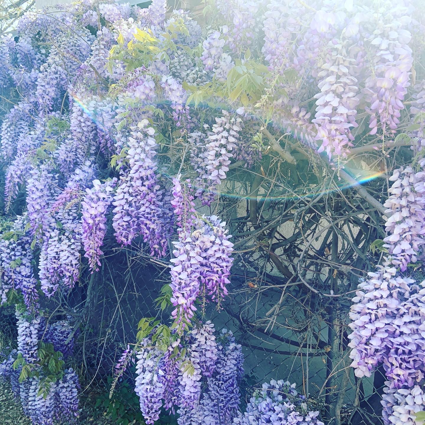 995A2978-9E79-4534-BE69-2C6B4B2AD109